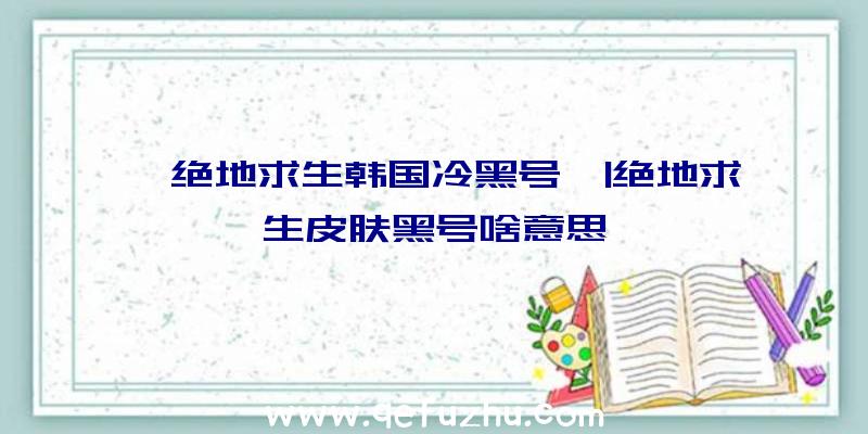 「绝地求生韩国冷黑号」|绝地求生皮肤黑号啥意思